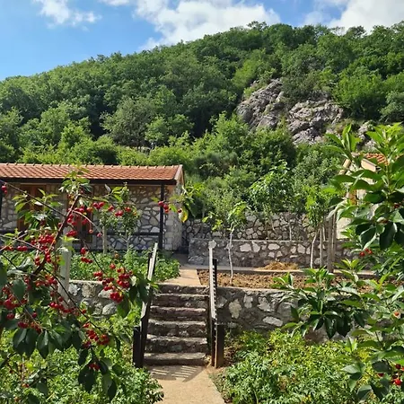 Séjour à la ferme Etno Selo Pobori *